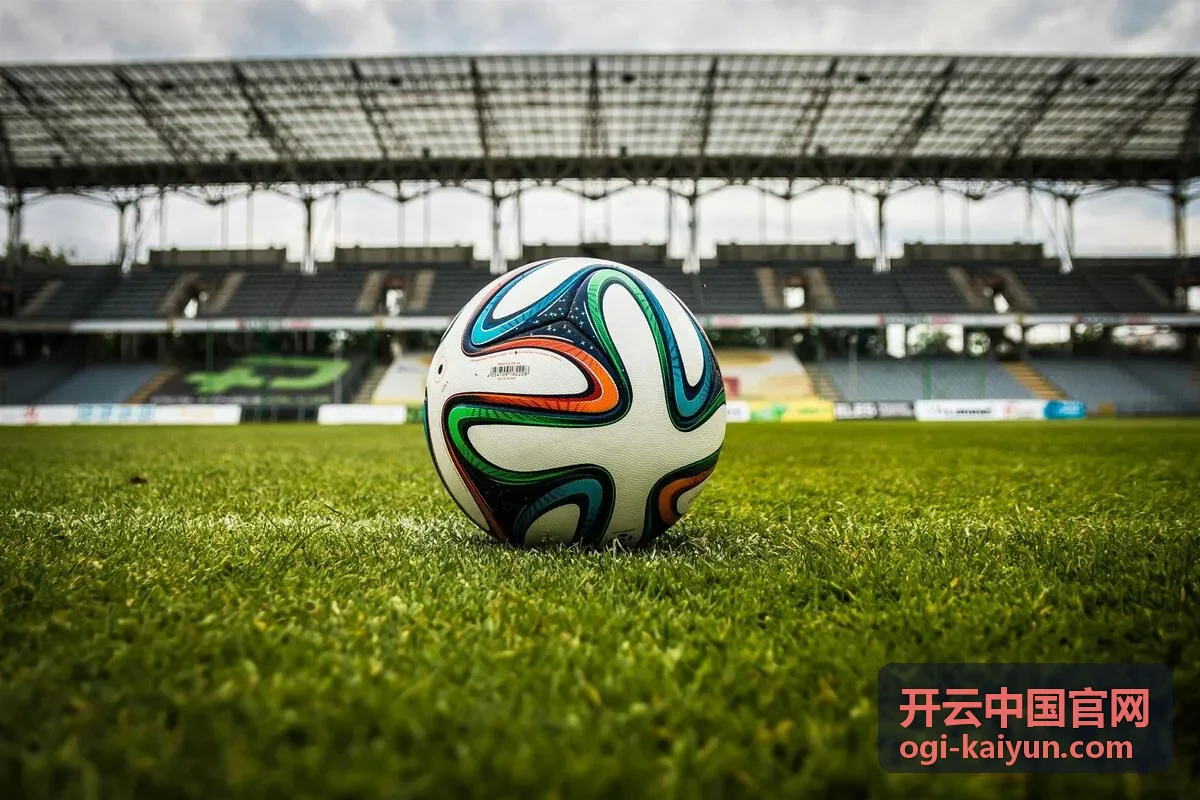 开云中国官网会员专属报告