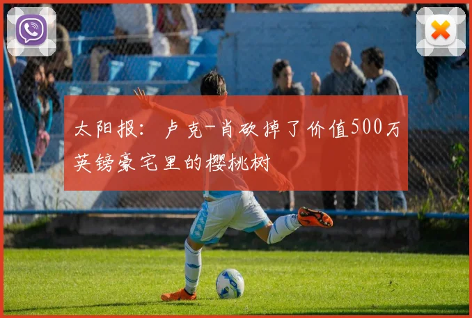 太阳报：卢克-肖砍掉了价值500万英镑豪宅里的樱桃树