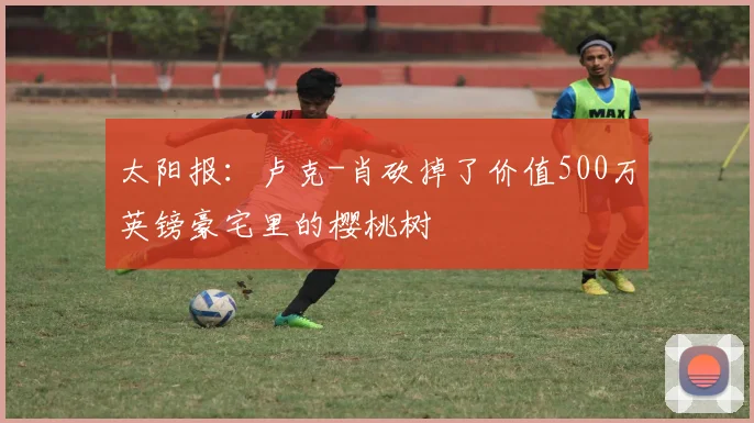 太阳报：卢克-肖砍掉了价值500万英镑豪宅里的樱桃树