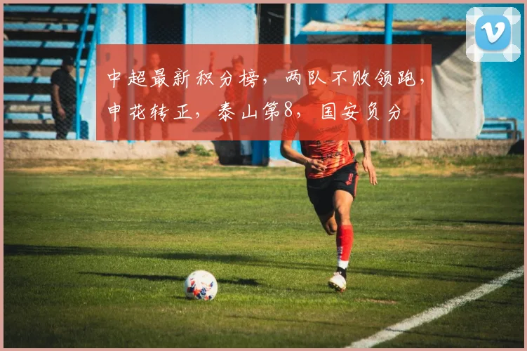 中超最新积分榜，两队不败领跑，申花转正，泰山第8，国安负分